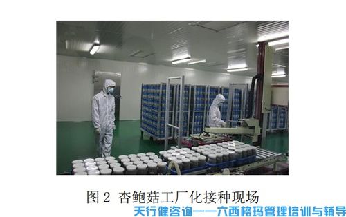 杏鲍菇工厂化接种中TRIZ创新技术的应用与计算机软硬件技术开发