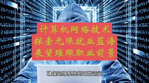 计算机网络技术 探索无限就业蓝海，展望璀璨职业前景